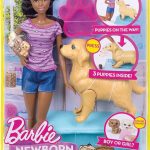 barbie fdd43